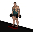 Calf Raise - Wall Dumbbell